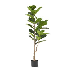150CM ARTIFICIAL VIOLIN LEAF FIG TREE (Color: GREEN)